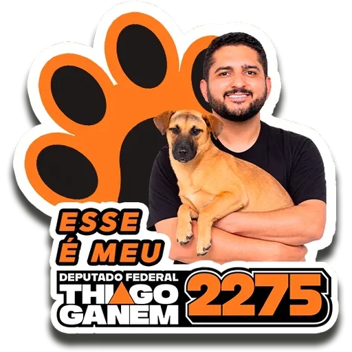 Esse é meu deputado federal